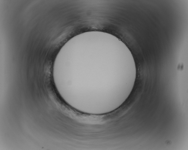 X0000114620032200911101224