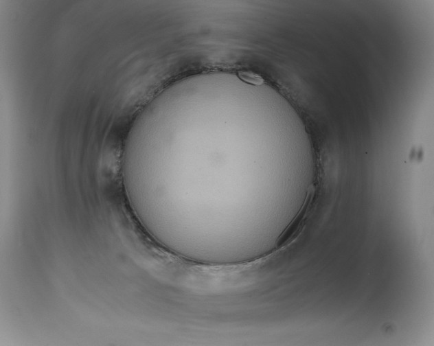 X0000114620033200911101224