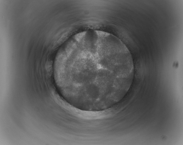 X0000114620034200911101224