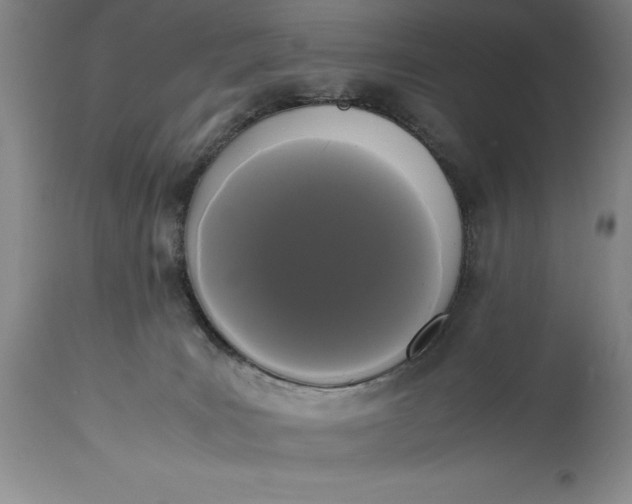 X0000114620035200911101224