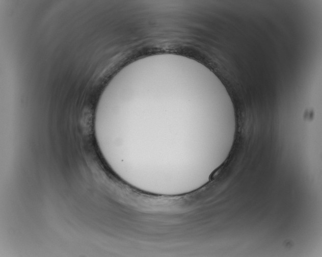 X0000114620036200911101224