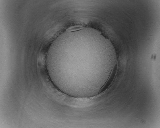 X0000114620037200911101224