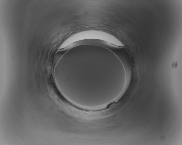 X0000114620039200911101224