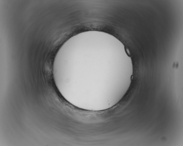 X0000114620040200911101224