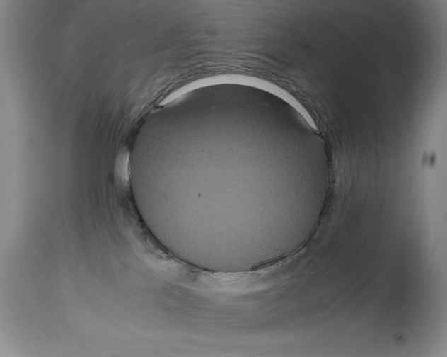 X0000114620041200911101224