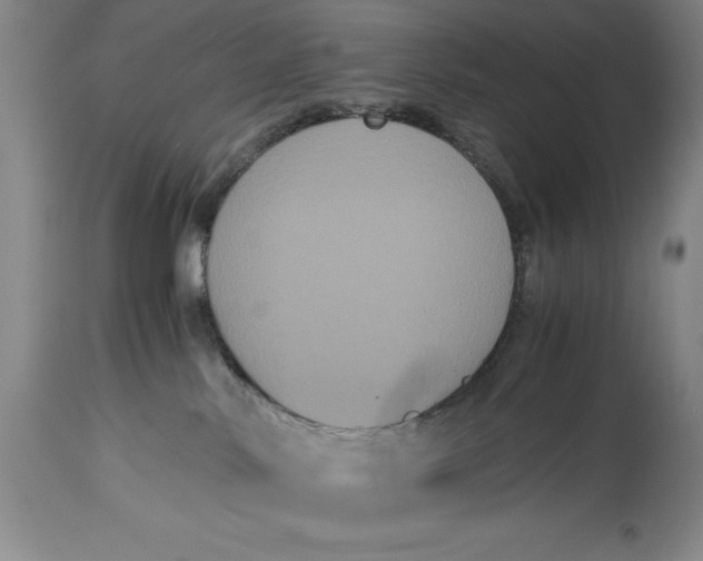 X0000114620042200911101224