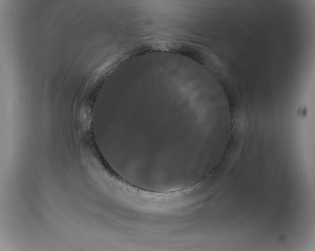 X0000114620043200911101224