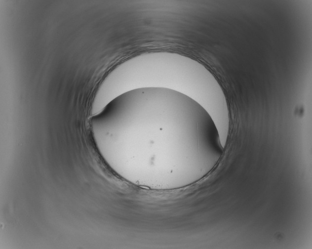 X0000114620045200911101224