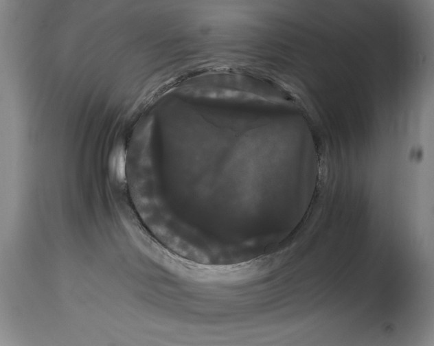 X0000114620046200911101224