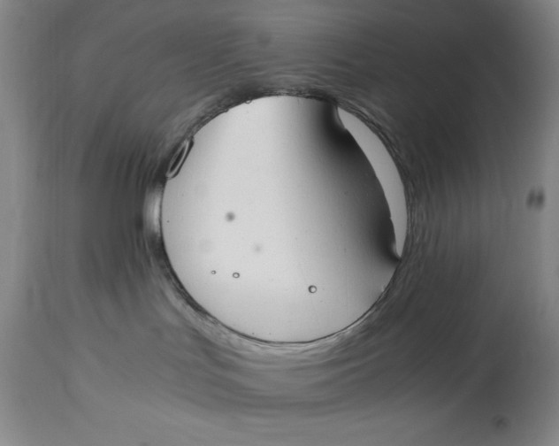 X0000114620047200911101224