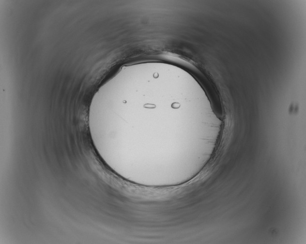 X0000114620048200911101224