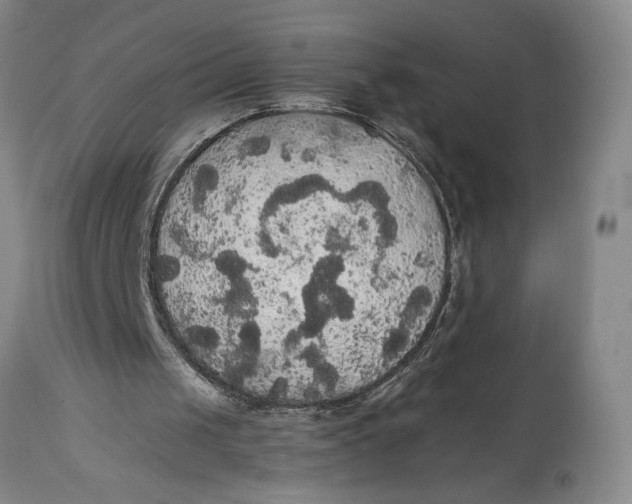 X0000114620049200911101223