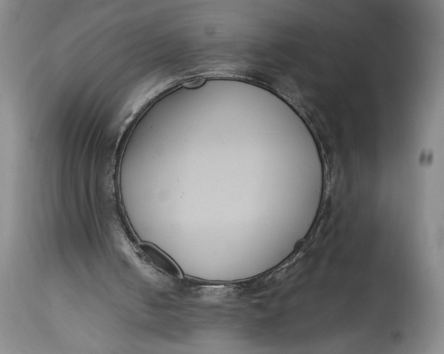 X0000114620050200911101223