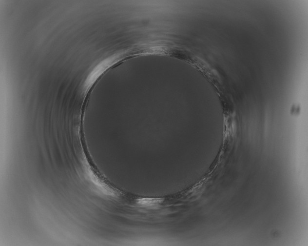 X0000114620051200911101223