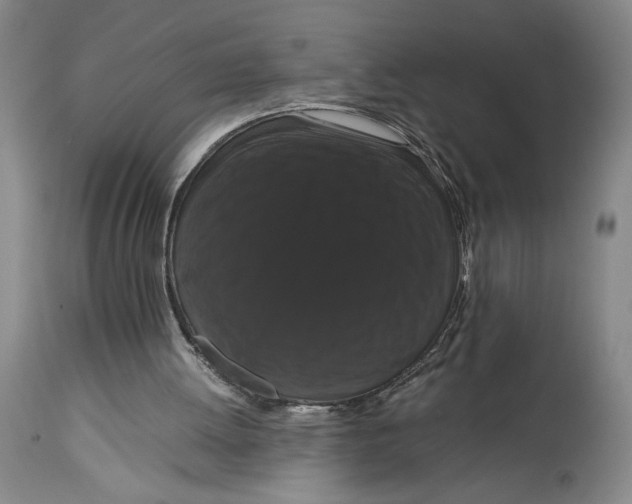 X0000114620052200911101223