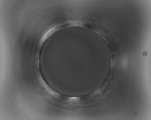 X0000114620053200911101223