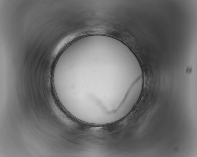X0000114620054200911101223