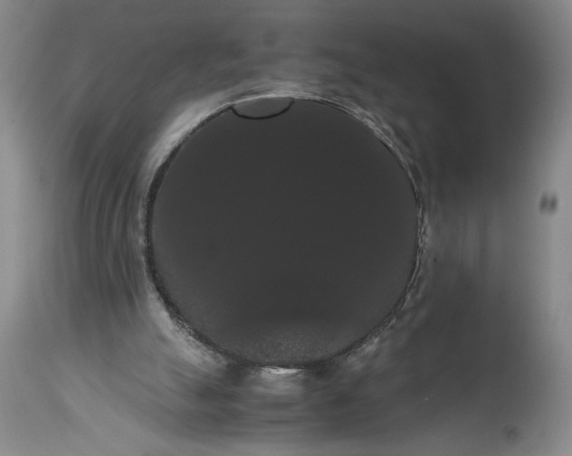X0000114620055200911101223