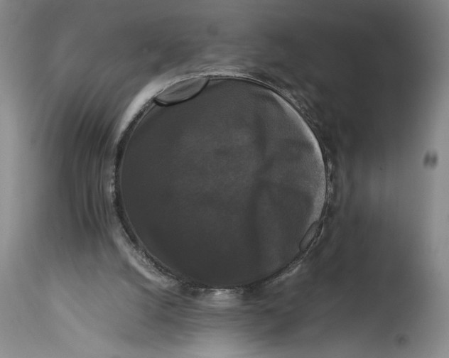 X0000114620056200911101223