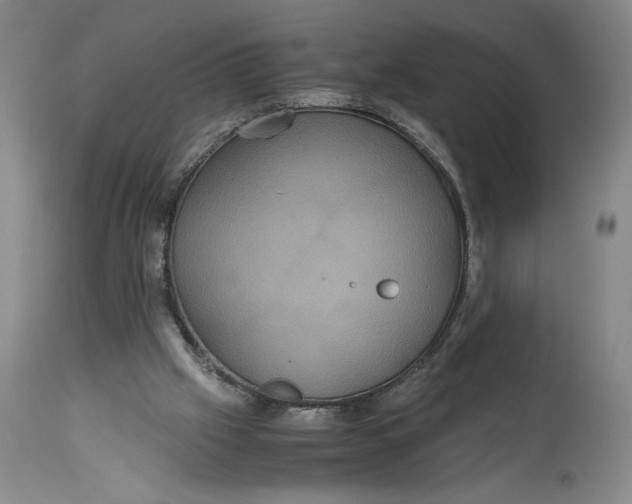 X0000114620057200911101223