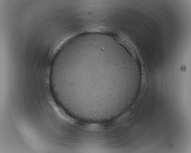 X0000114620058200911101223