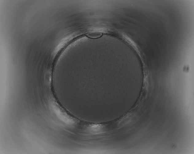 X0000114620059200911101223