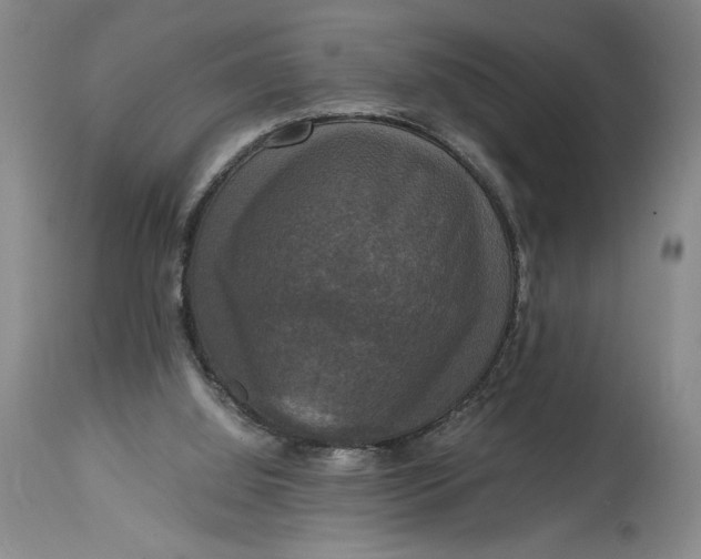 X0000114620060200911101223