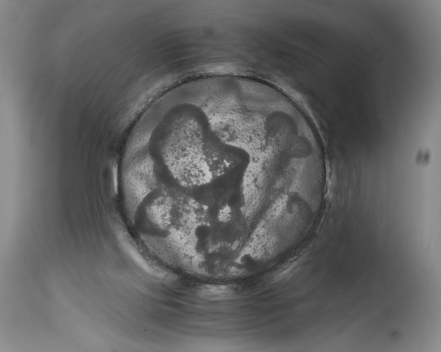 X0000114620061200911101223