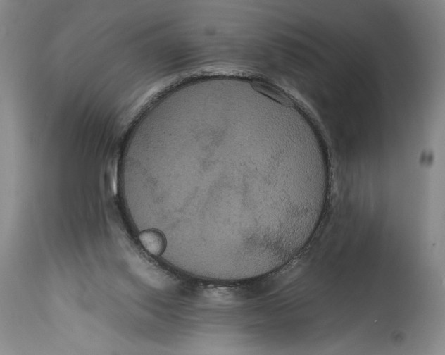 X0000114620062200911101223
