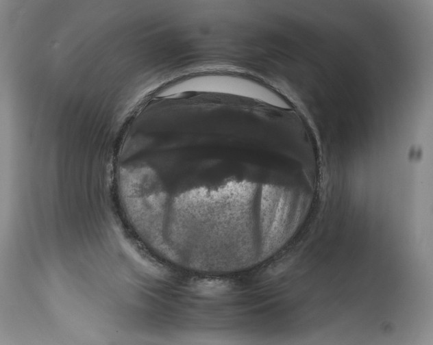 X0000114620063200911101223