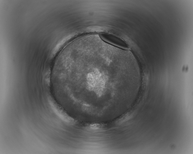 X0000114620064200911101223