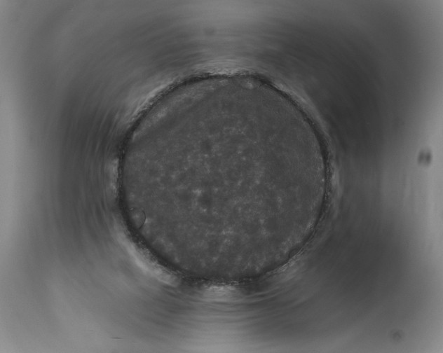 X0000114620066200911101223