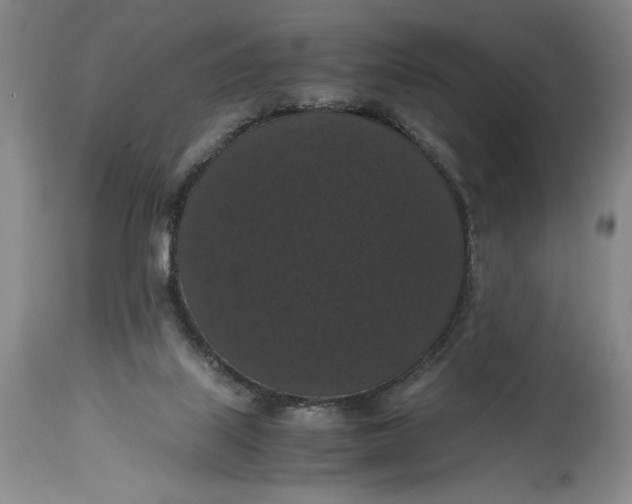 X0000114620067200911101223