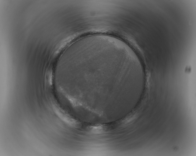 X0000114620068200911101223
