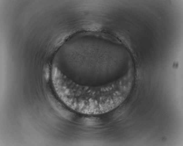 X0000114620069200911101223