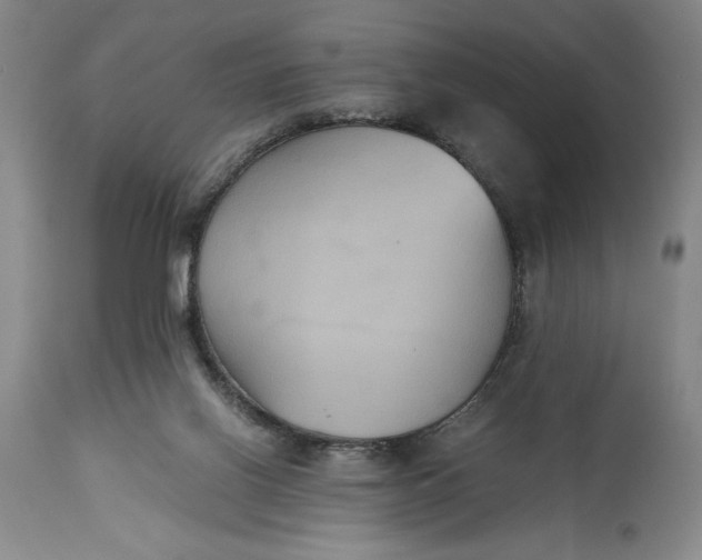 X0000114620070200911101223