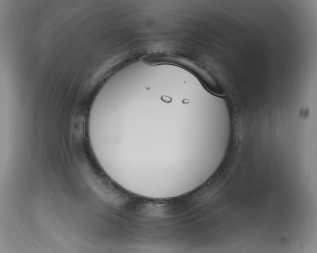 X0000114620071200911101223