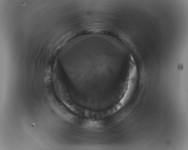 X0000114620073200911101223