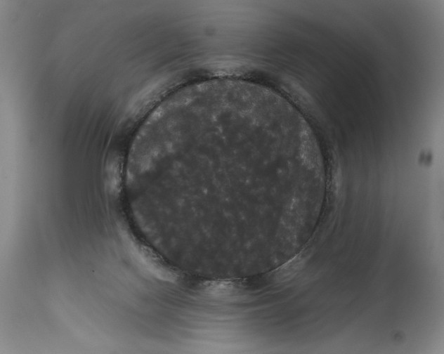 X0000114620074200911101223