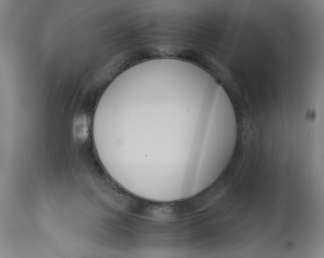 X0000114620075200911101223