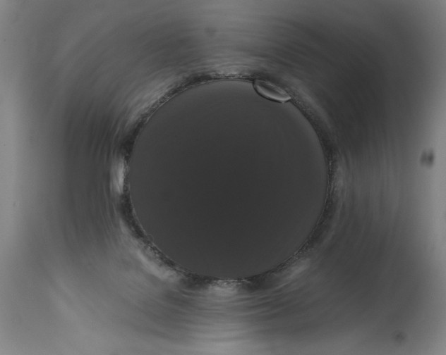 X0000114620076200911101223