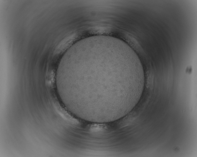 X0000114620077200911101223