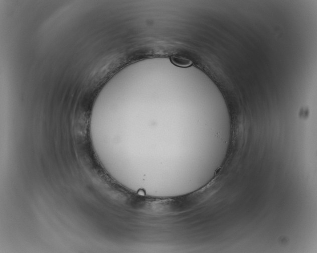 X0000114620078200911101223