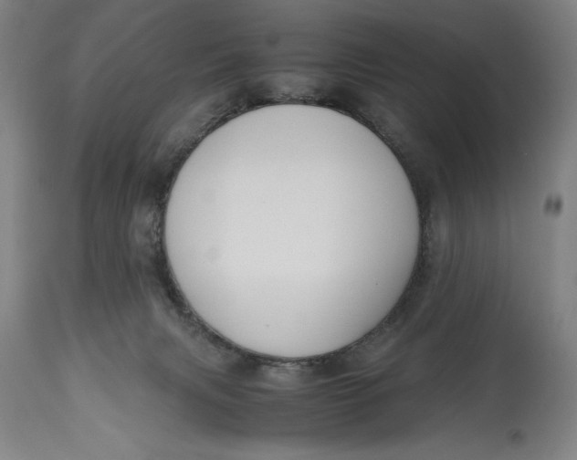 X0000114620079200911101223
