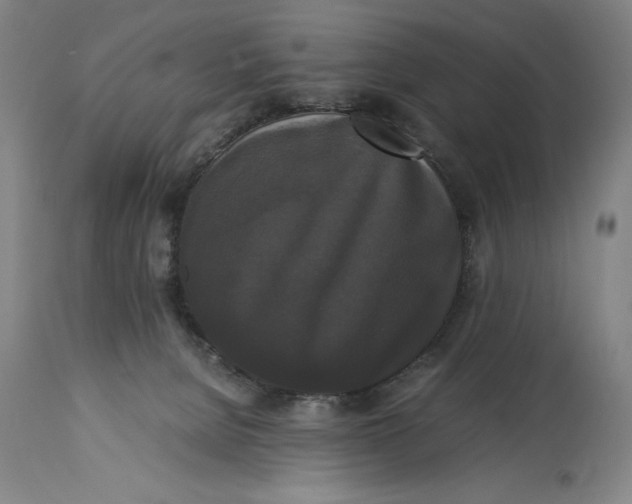 X0000114620080200911101223