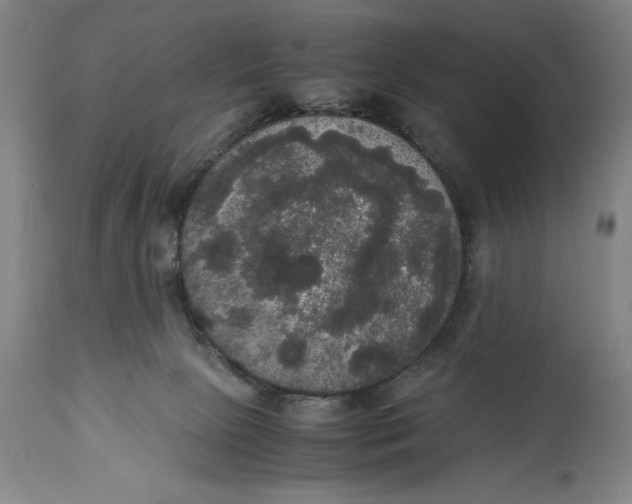 X0000114620081200911101223