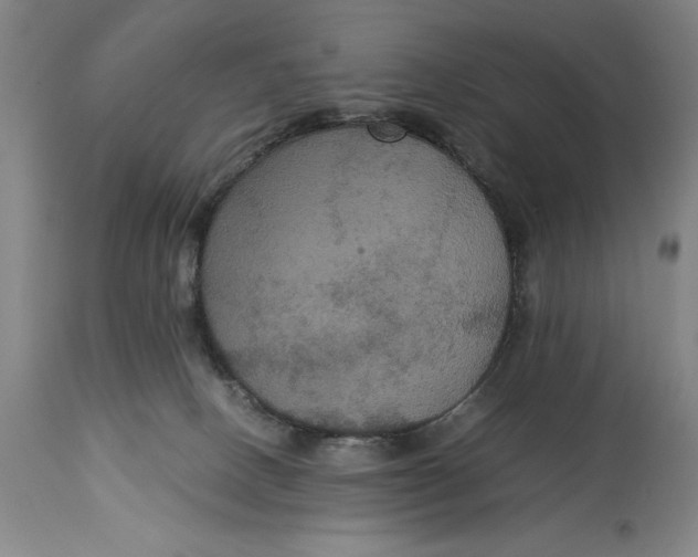 X0000114620082200911101223