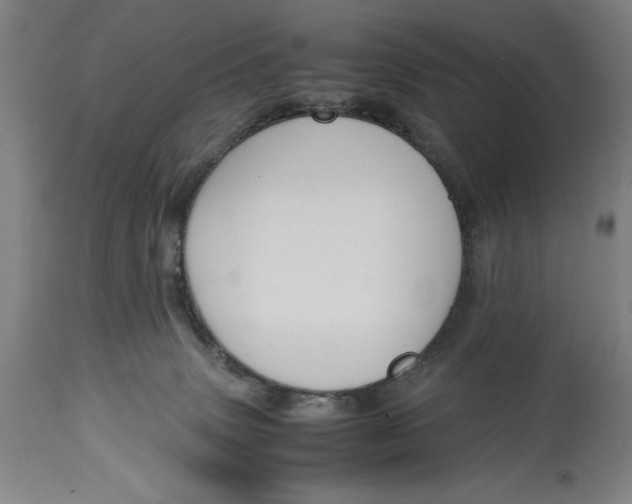 X0000114620083200911101223