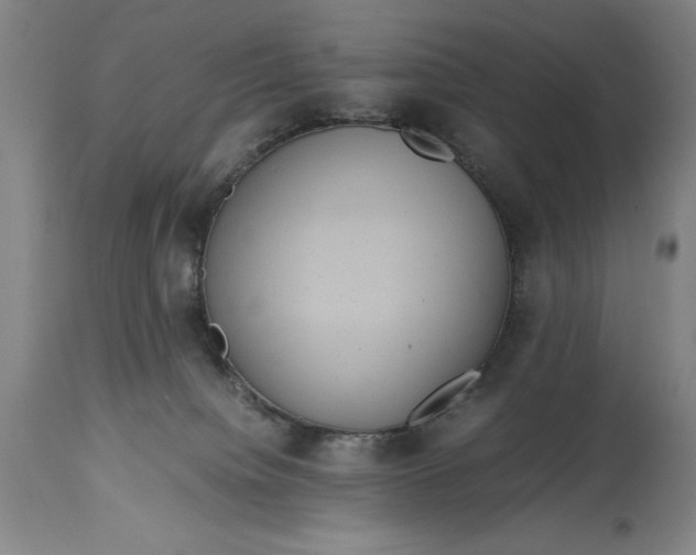 X0000114620084200911101224