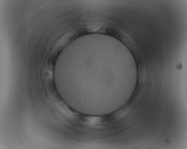 X0000114620085200911101224